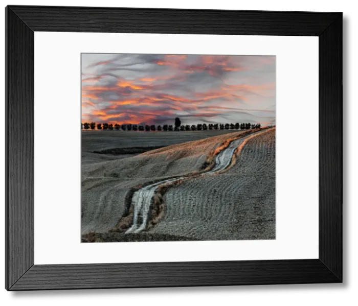 Framed Print : DDE-90032096 Framed Print : DDE-90032096
