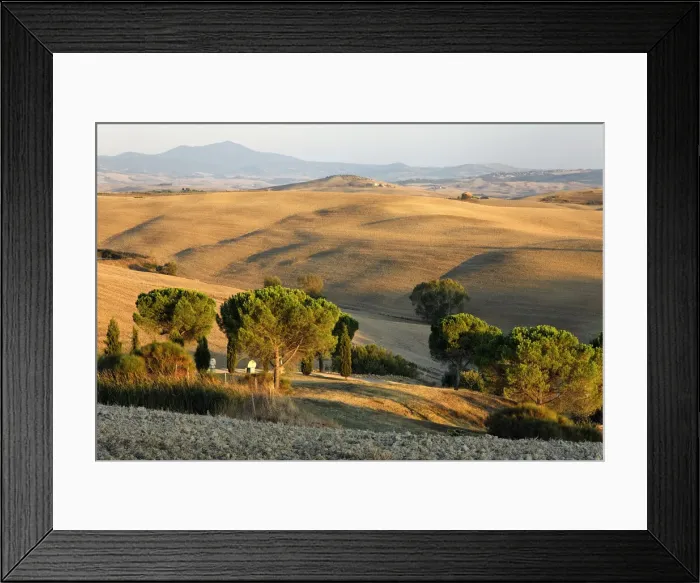 Framed Print : DDE-90032094 Framed Print : DDE-90032094