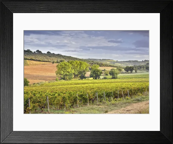 Framed Print : DDE-90032097 Framed Print : DDE-90032097