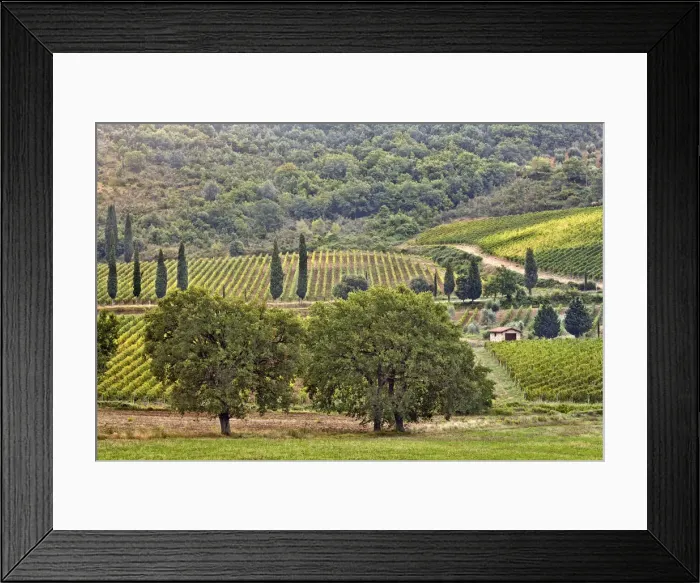 Framed Print : DDE-90032098 Framed Print : DDE-90032098