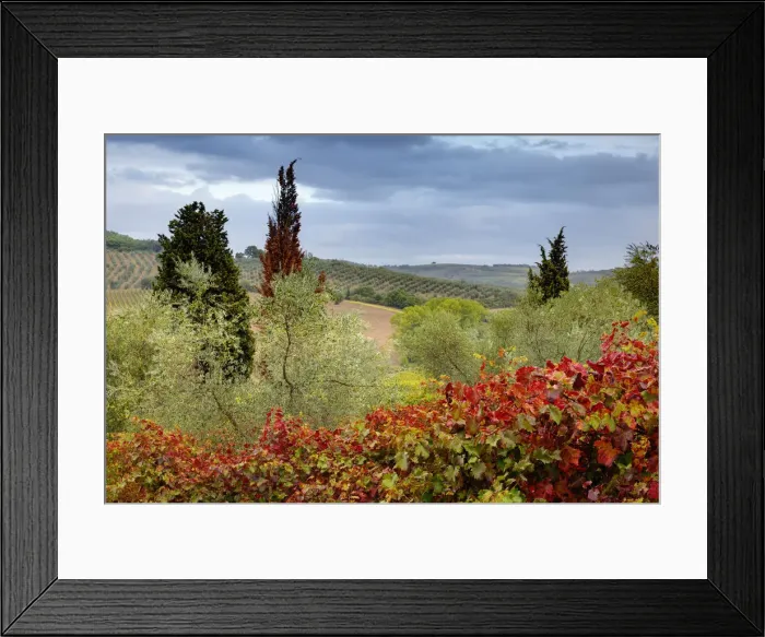 Framed Print : DDE-90032099 Framed Print : DDE-90032099