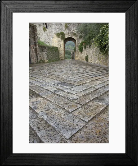 Framed Print : DDE-90032100 Framed Print : DDE-90032100