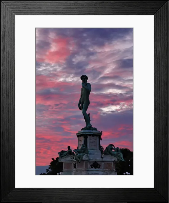 Framed Print : DDE-90032103 Framed Print : DDE-90032103