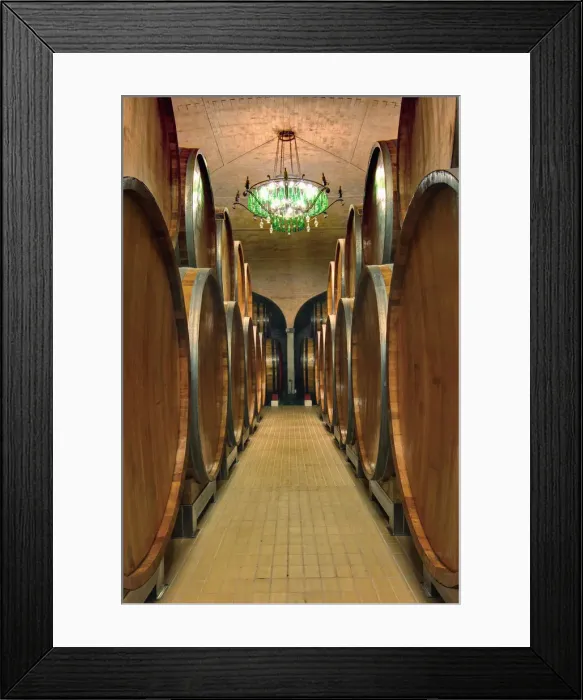Framed Print : DDE-90032104 Framed Print : DDE-90032104