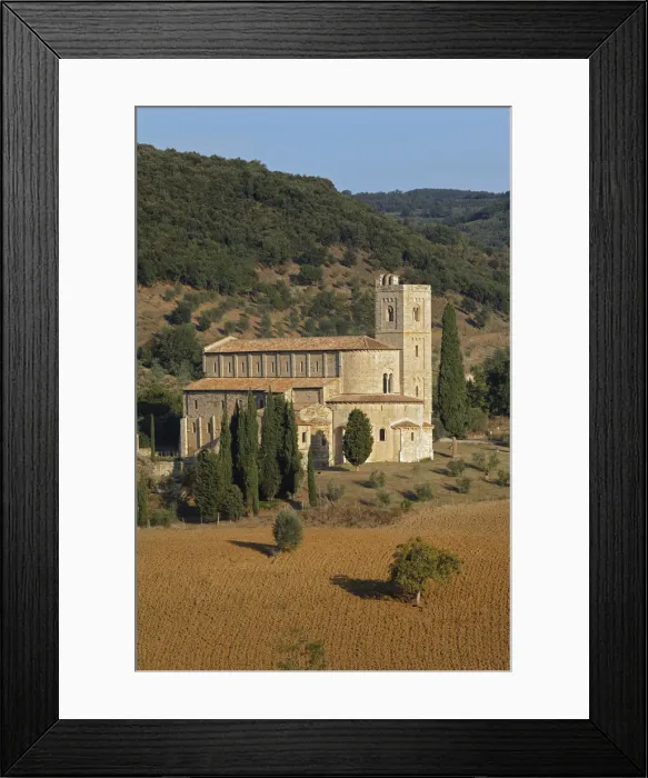 Framed Print : DDE-90032105 Framed Print : DDE-90032105
