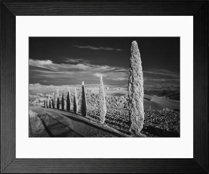 Framed Print : DDE-90032107 Framed Print : DDE-90032107