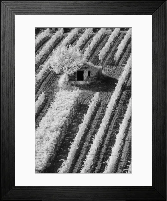 Framed Print : DDE-90032106 Framed Print : DDE-90032106