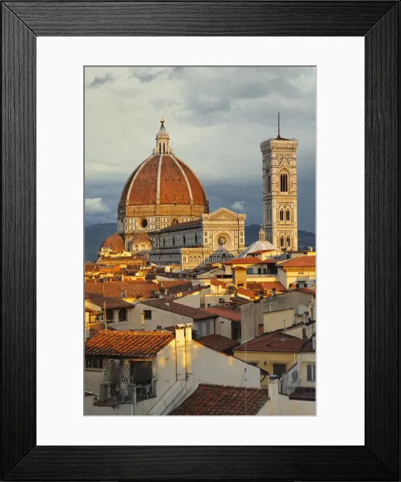Framed Print : DDE-90032109 Framed Print : DDE-90032109