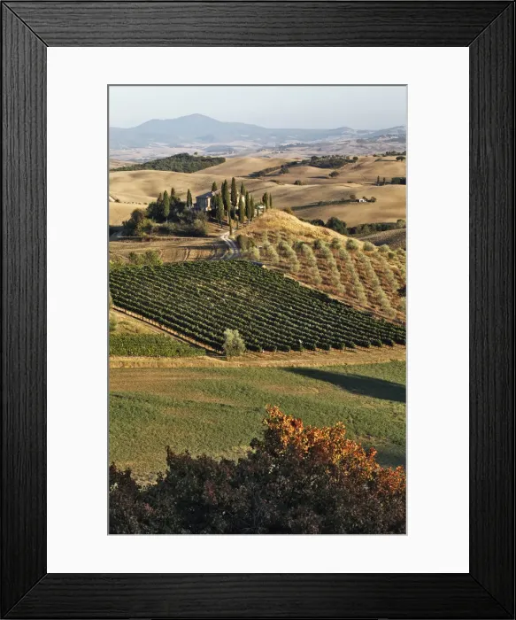 Framed Print : DDE-90032110