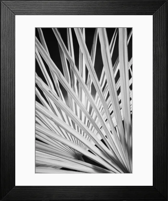 Framed Print : DDE-90032115 Framed Print : DDE-90032115