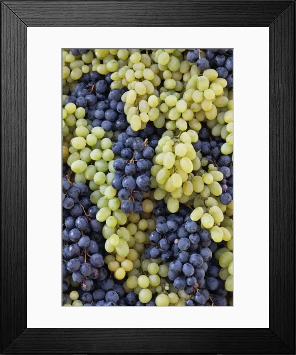 Framed Print : DDE-90032116 Framed Print : DDE-90032116