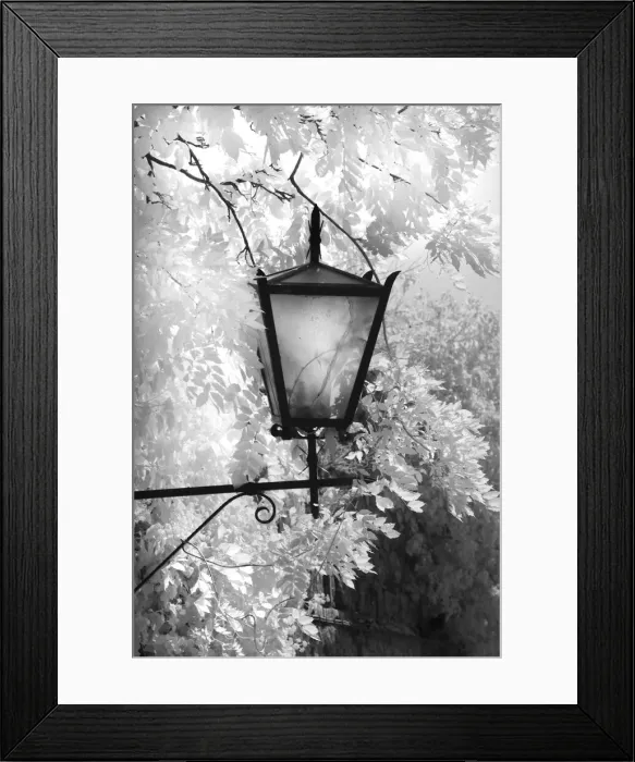Framed Print : DDE-90032117 Framed Print : DDE-90032117