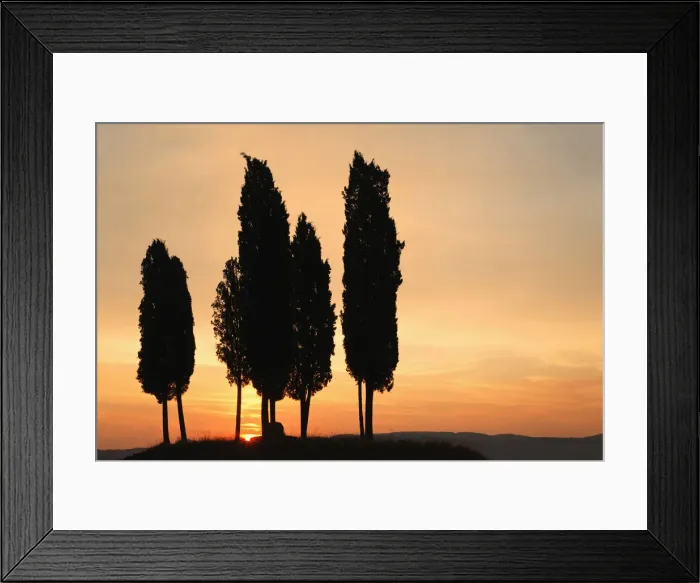 Framed Print : DDE-90032113 Framed Print : DDE-90032113