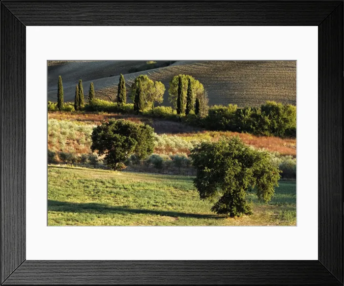 Framed Print : DDE-90032121 Framed Print : DDE-90032121