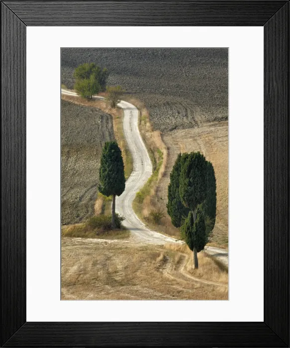 Framed Print : DDE-90032123