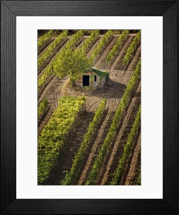 Framed Print : DDE-90032125 Framed Print : DDE-90032125