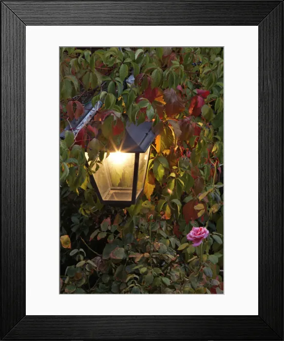 Framed Print : DDE-90032130 Framed Print : DDE-90032130