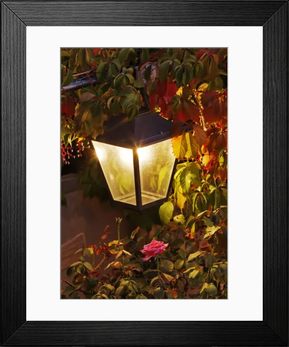 Framed Print : DDE-90032131 Framed Print : DDE-90032131