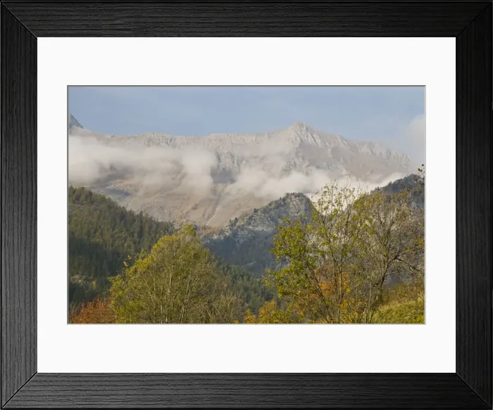 Framed Print : DDE-90032132