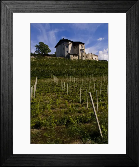 Framed Print : DDE-90032134 Framed Print : DDE-90032134