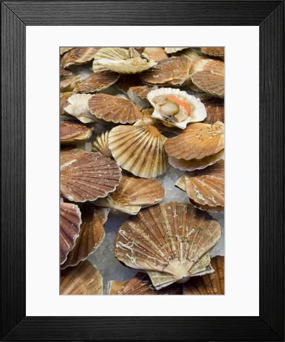 Framed Print : DDE-90032161 Framed Print : DDE-90032161