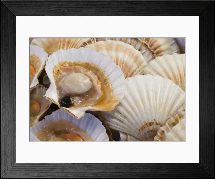 Framed Print : DDE-90032163 Framed Print : DDE-90032163