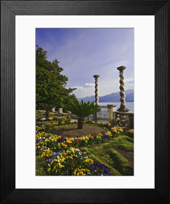 Framed Print : DDE-90032164 Framed Print : DDE-90032164