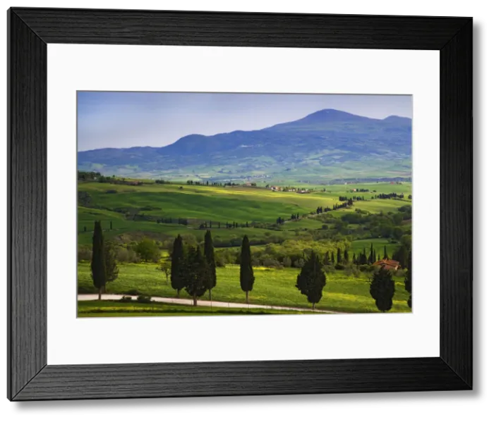 Framed Print : DDE-90032168