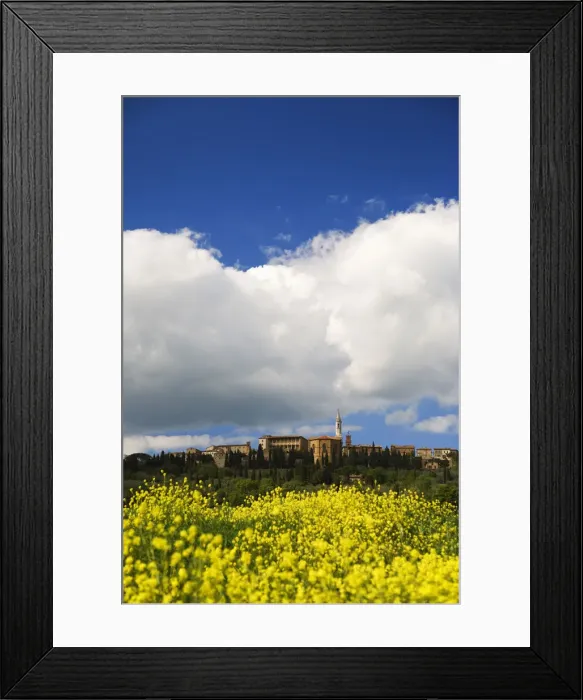 Framed Print : DDE-90032172 Framed Print : DDE-90032172