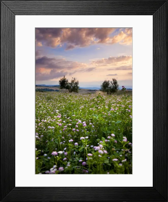 Framed Print : DDE-90032188 Framed Print : DDE-90032188
