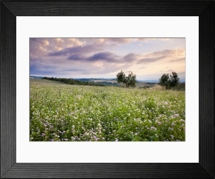 Framed Print : DDE-90032187 Framed Print : DDE-90032187