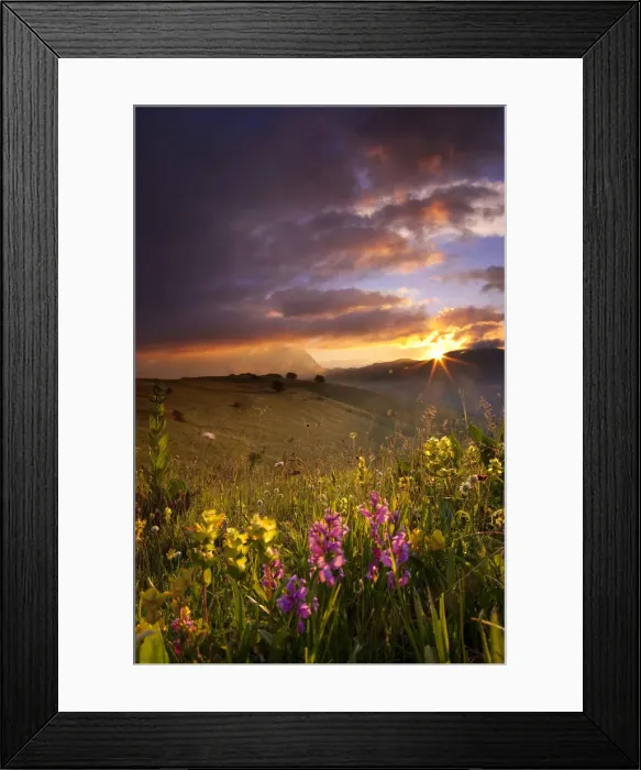 Framed Print : DDE-90032191 Framed Print : DDE-90032191