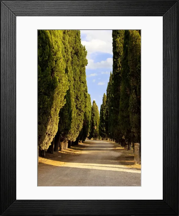 Framed Print : DDE-90032193 Framed Print : DDE-90032193