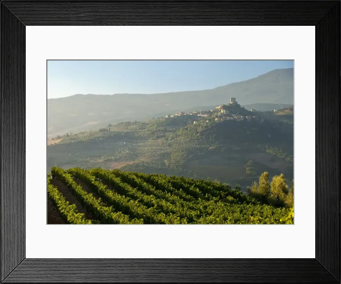 Framed Print : DDE-90032200 Framed Print : DDE-90032200