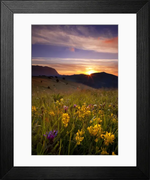 Framed Print : DDE-90032204 Framed Print : DDE-90032204