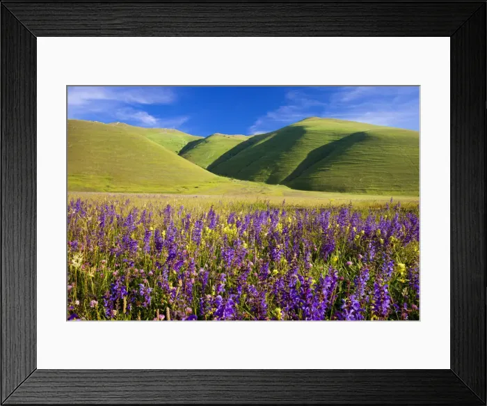 Framed Print : DDE-90032206 Framed Print : DDE-90032206