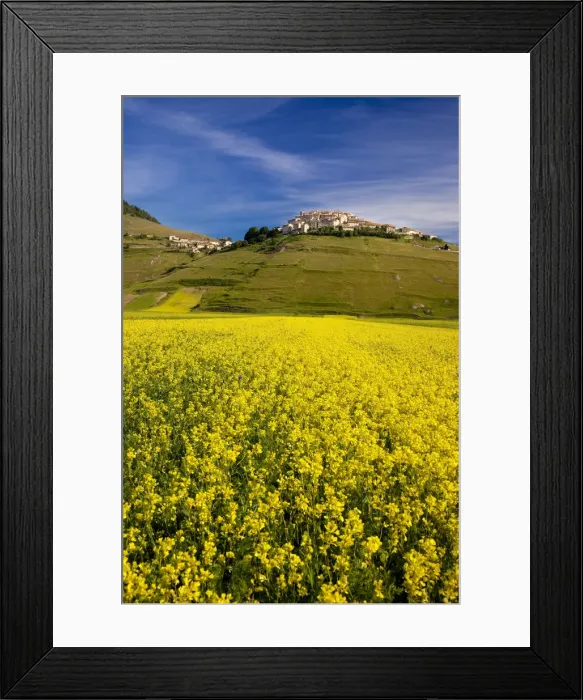 Framed Print : DDE-90032209 Framed Print : DDE-90032209