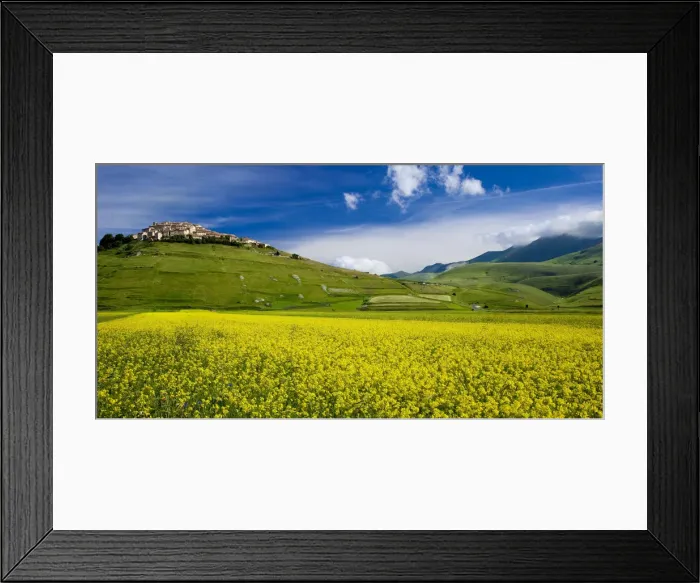 Framed Print : DDE-90032210 Framed Print : DDE-90032210
