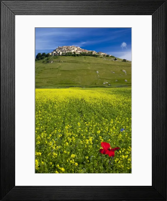 Framed Print : DDE-90032211 Framed Print : DDE-90032211