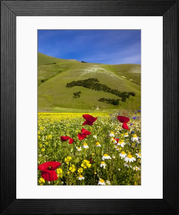 Framed Print : DDE-90032212 Framed Print : DDE-90032212