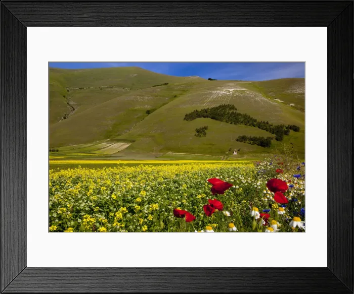 Framed Print : DDE-90032213 Framed Print : DDE-90032213