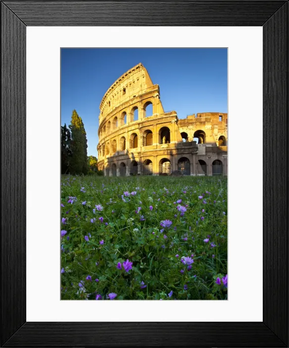 Framed Print : DDE-90032219 Framed Print : DDE-90032219