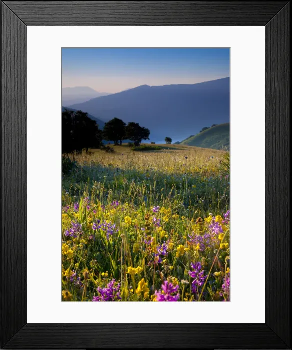 Framed Print : DDE-90032224 Framed Print : DDE-90032224