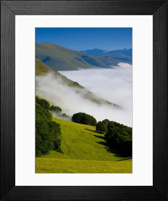Framed Print : DDE-90032226 Framed Print : DDE-90032226