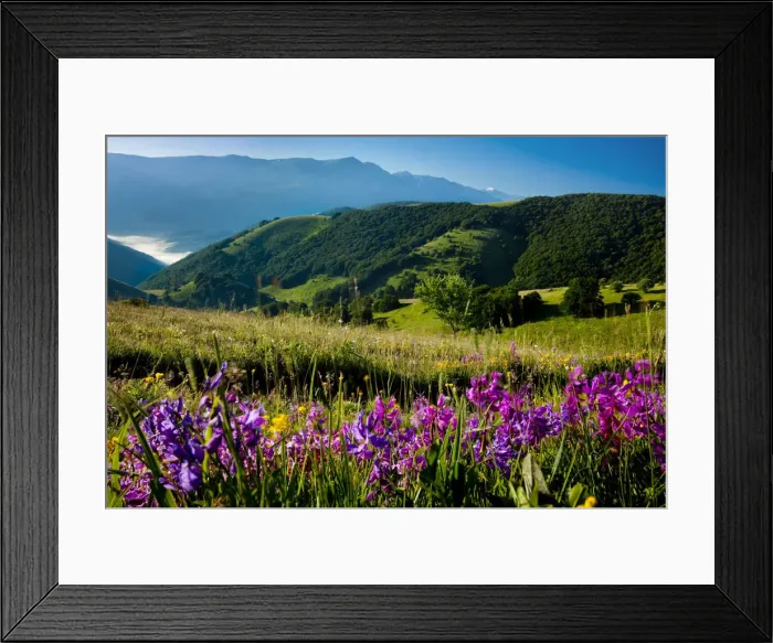 Framed Print : DDE-90032225 Framed Print : DDE-90032225