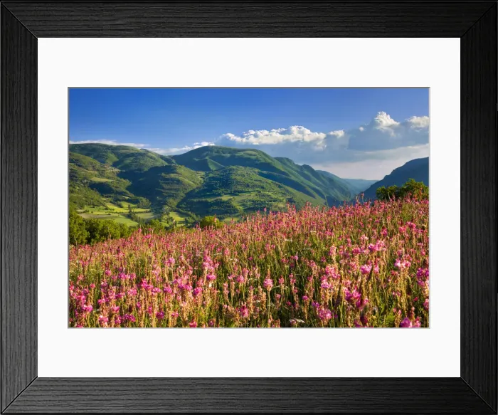 Framed Print : DDE-90032239 Framed Print : DDE-90032239