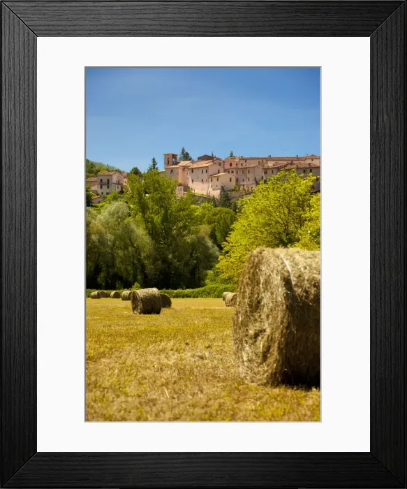 Framed Print : DDE-90032241