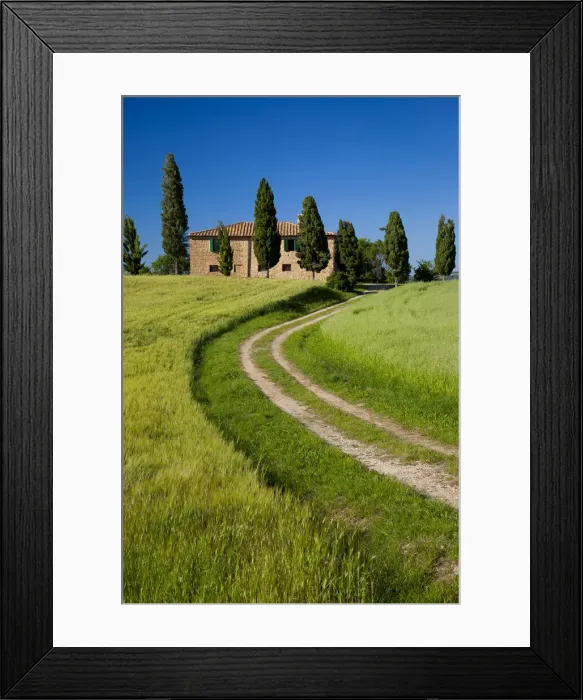 Framed Print : DDE-90032242