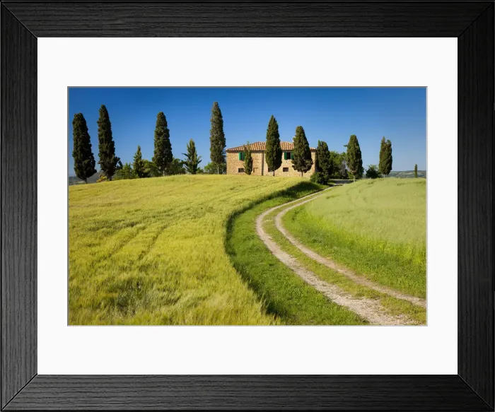 Framed Print : DDE-90032243 Framed Print : DDE-90032243