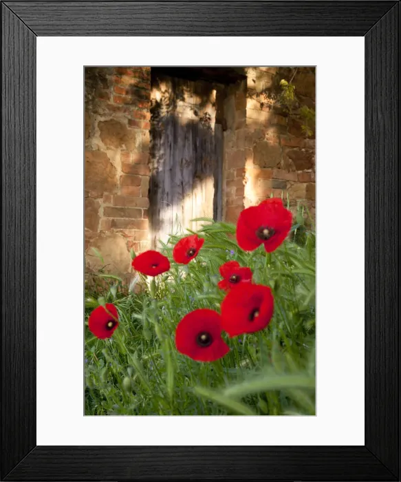 Framed Print : DDE-90032245 Framed Print : DDE-90032245